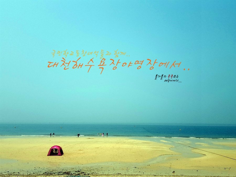 대천해수욕장 야영장 이미지