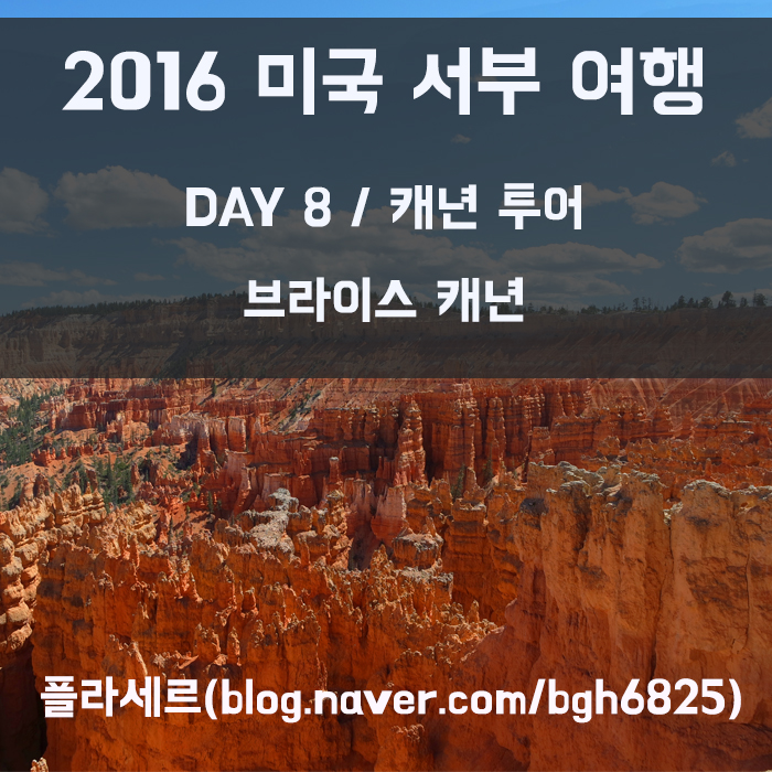 플라세르 투어 이미지