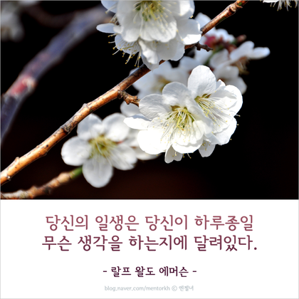 위니비니 이미지