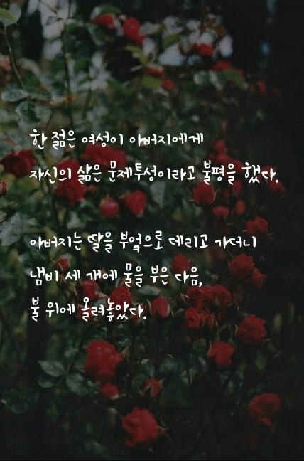 베이비꼬망 이미지