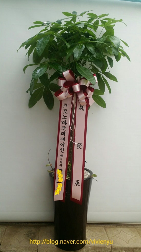 모아텍스 이미지