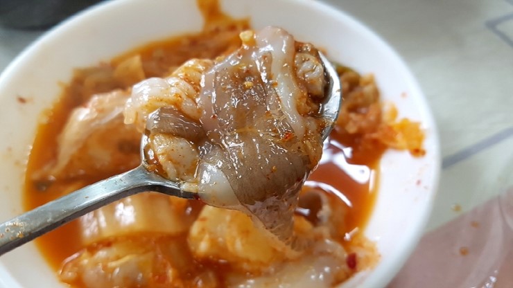 동해곰치 이미지
