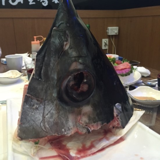 참치만세 이미지
