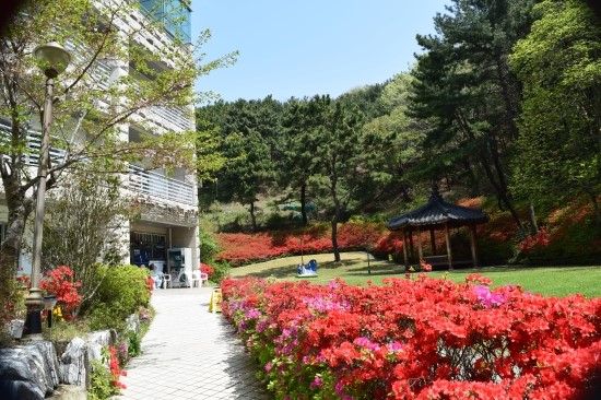 자연안에병원 이미지