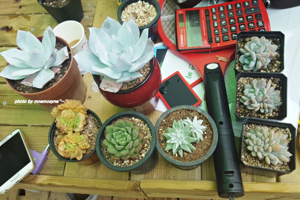 누다하우스 이미지