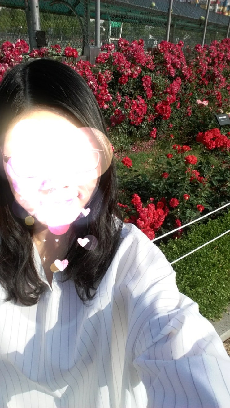 헤어최정 이미지