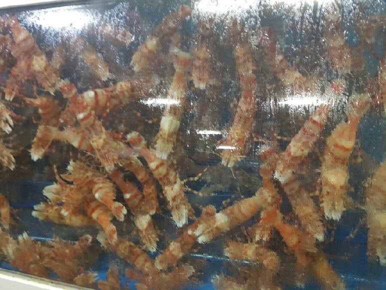 장땡으로가는길 이미지