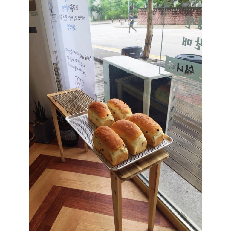 식빵굽는 언니 이미지