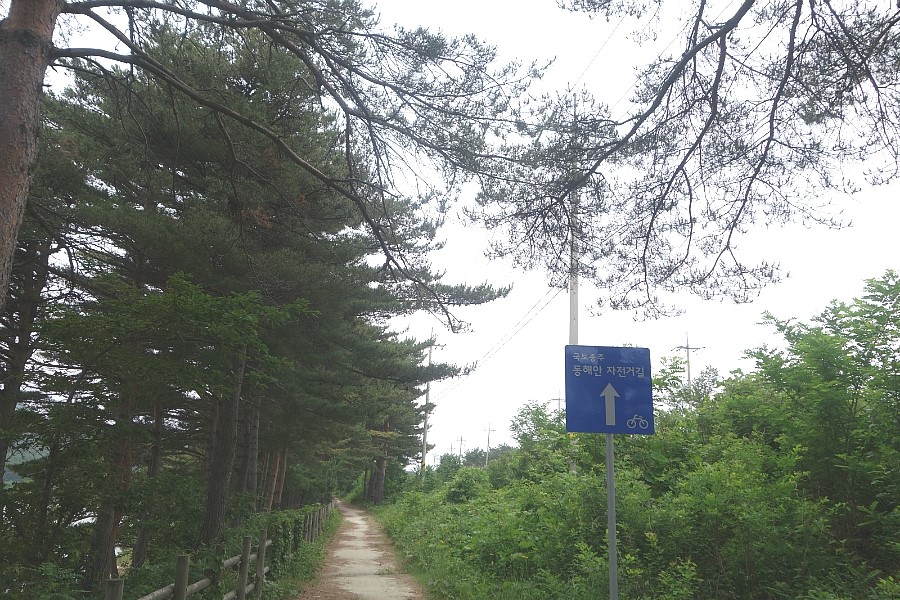 동해안 자전거 길 난이도