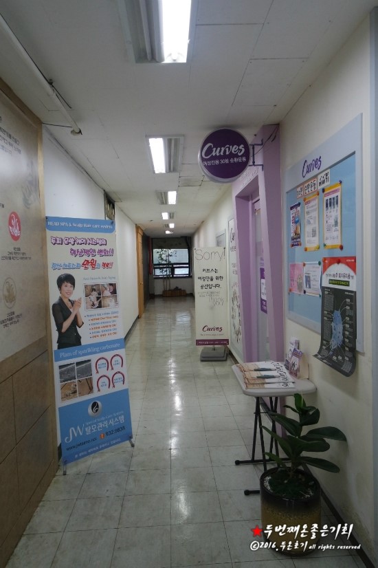 커브스마두클럽 이미지