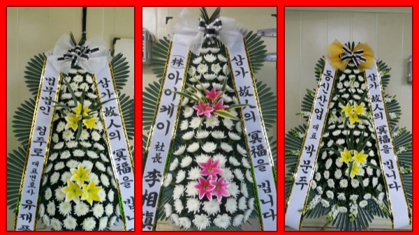 대국화원 이미지