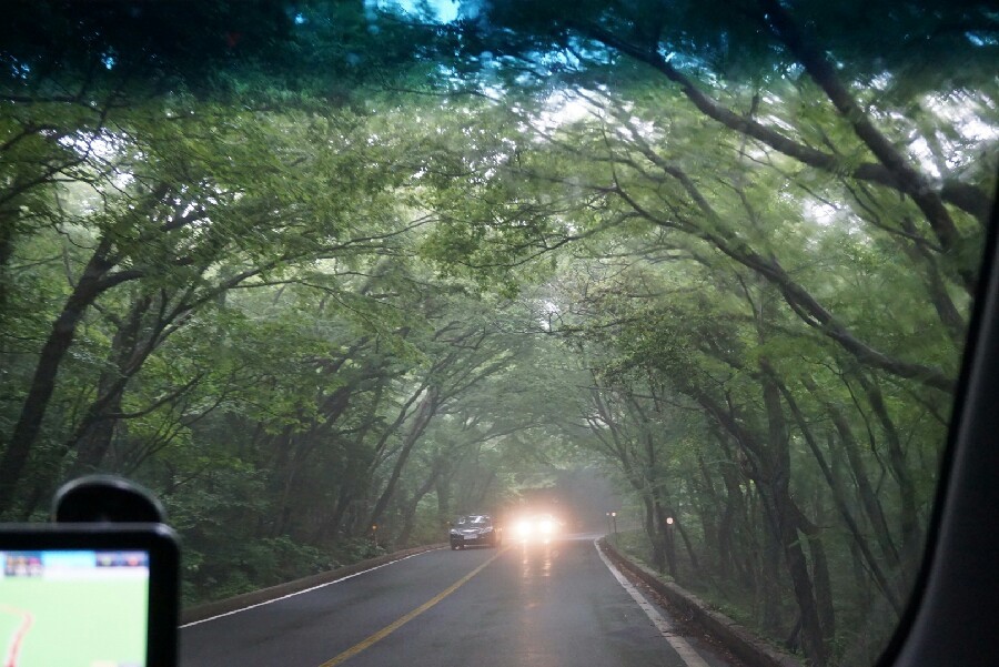 쁘띠푸르2호 이미지