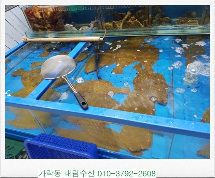 대림수산 이미지