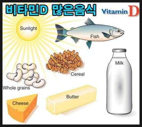 시티짐 이미지