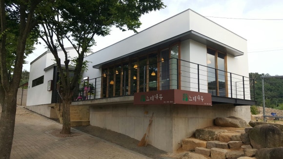 느티나무대구 이미지