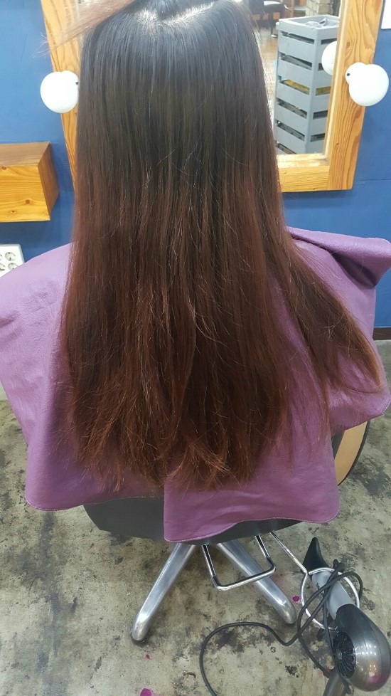 토브헤어 이미지
