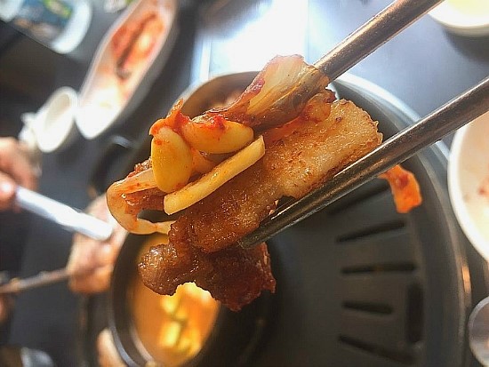 엉터리생고기 이미지