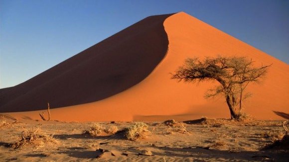 나미브(NAMIB) 이미지