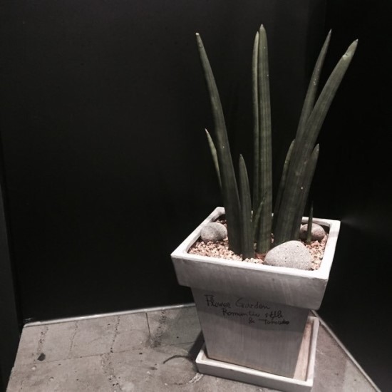 헤일리스카페 이미지