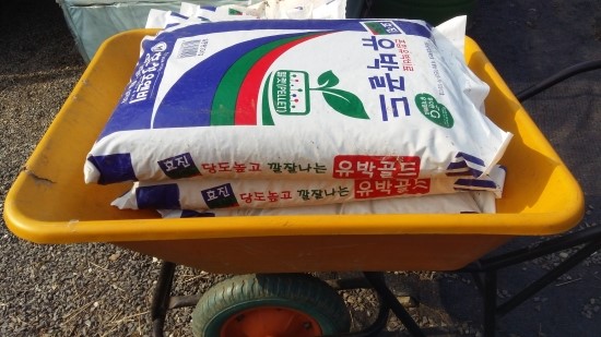 왕베리농원 이미지