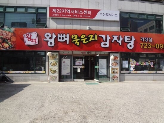 왕뼈 이미지