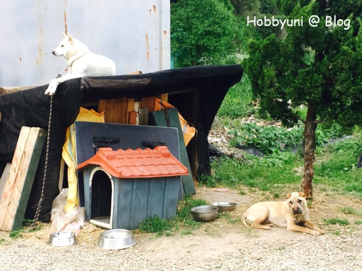 이즈바펜션 이미지