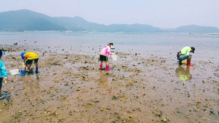 꽃내마을 이미지