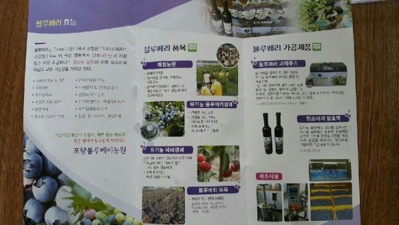 포항블루베리농원 이미지