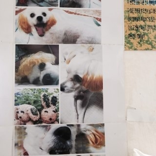 김유나헤어 이미지