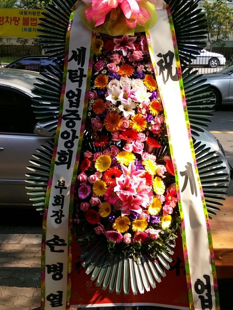 백조세탁 이미지