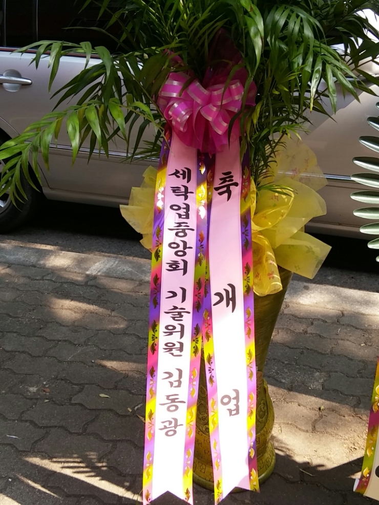 백조세탁 이미지