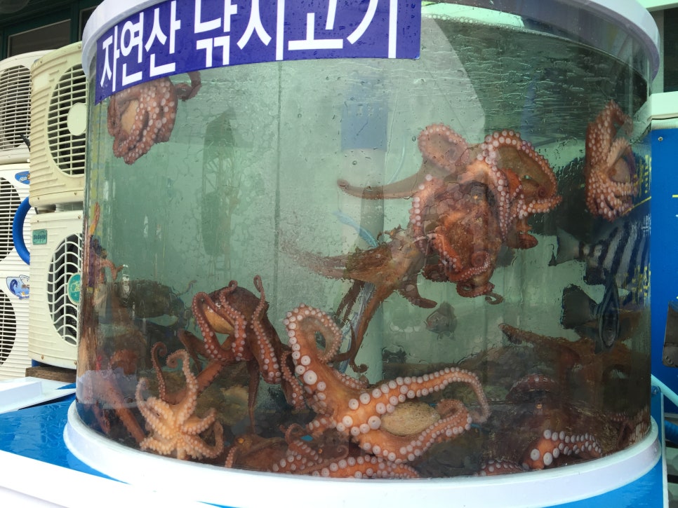 진선식당 이미지