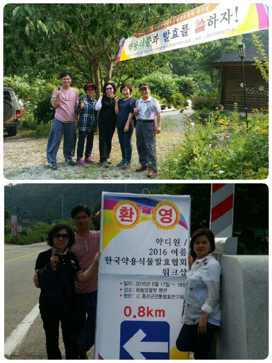 하늘땅물벗펜션 이미지