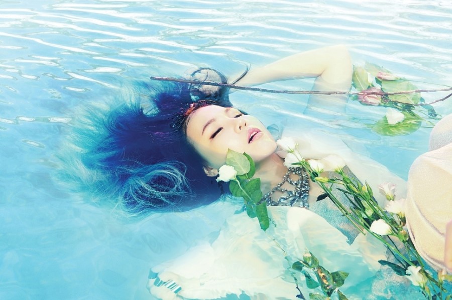 알리프로젝트 이미지