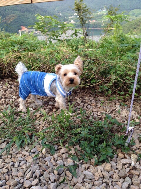 산청별천지캠핑장 이미지