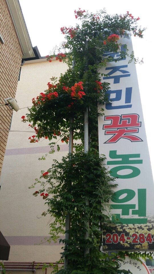 우리꽃집 이미지