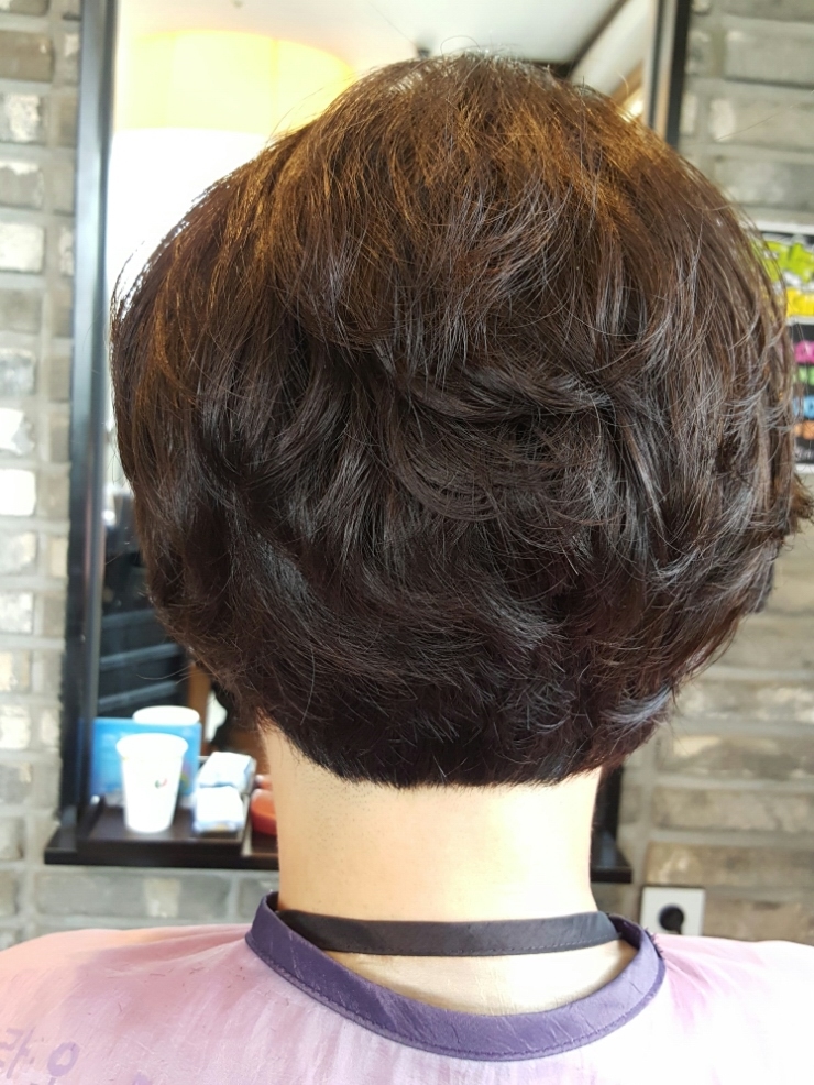 헤어그라또 이미지