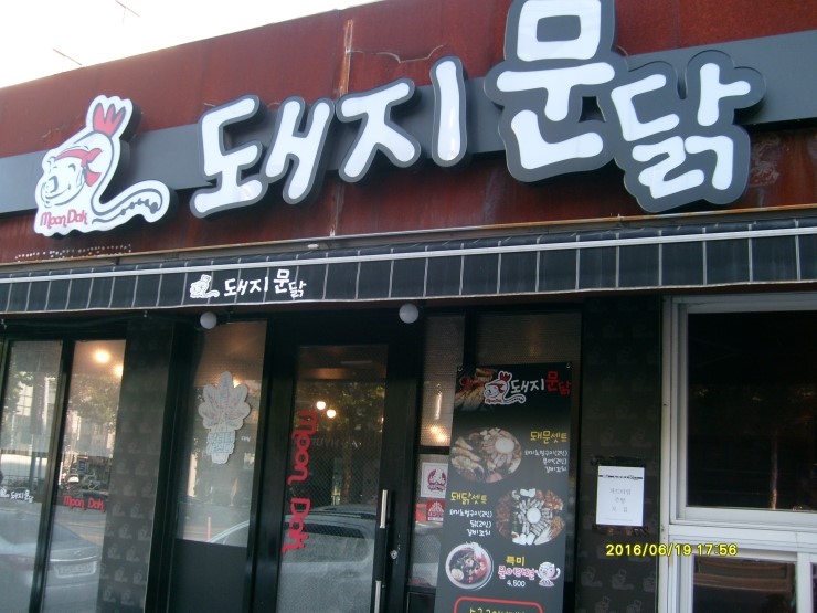 돼지문닭 이미지