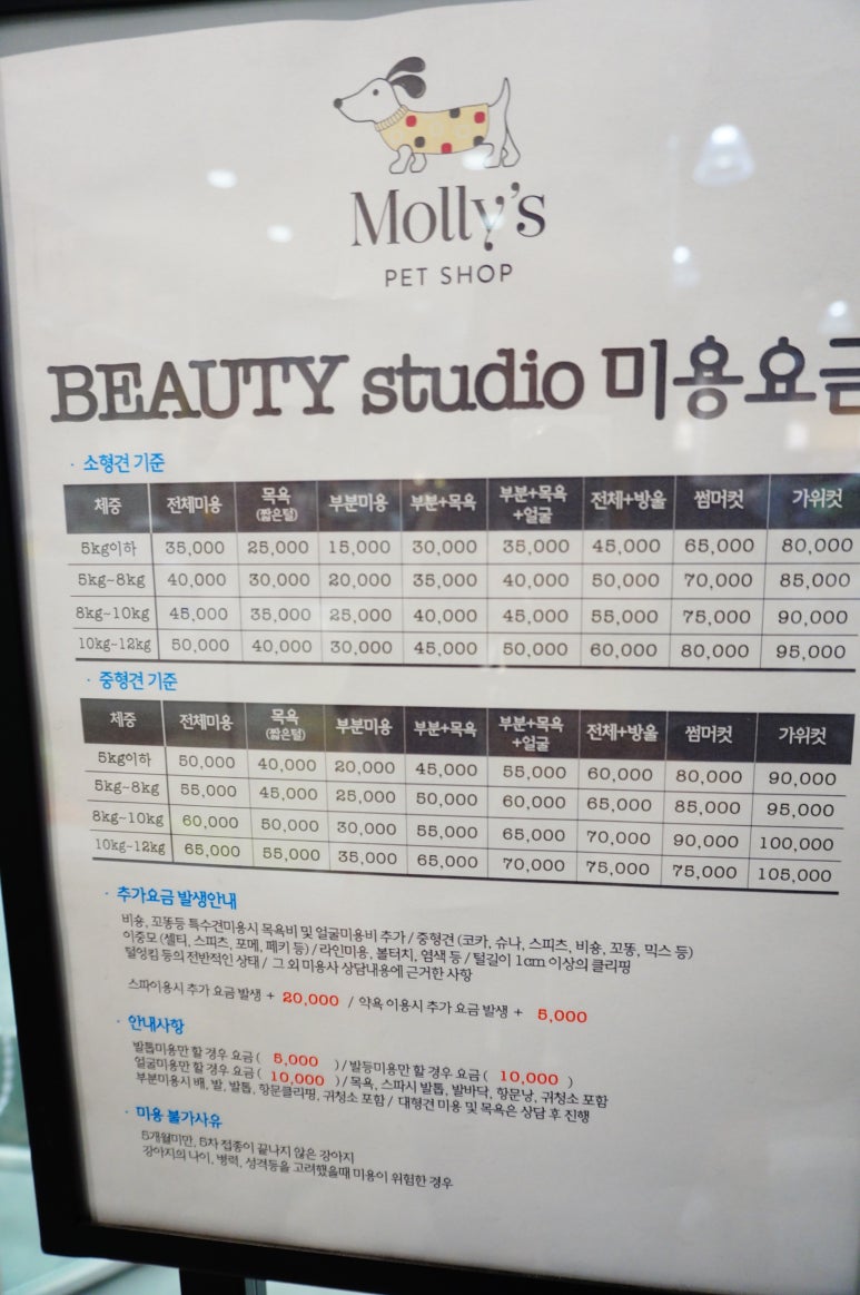 송아미용실 이미지