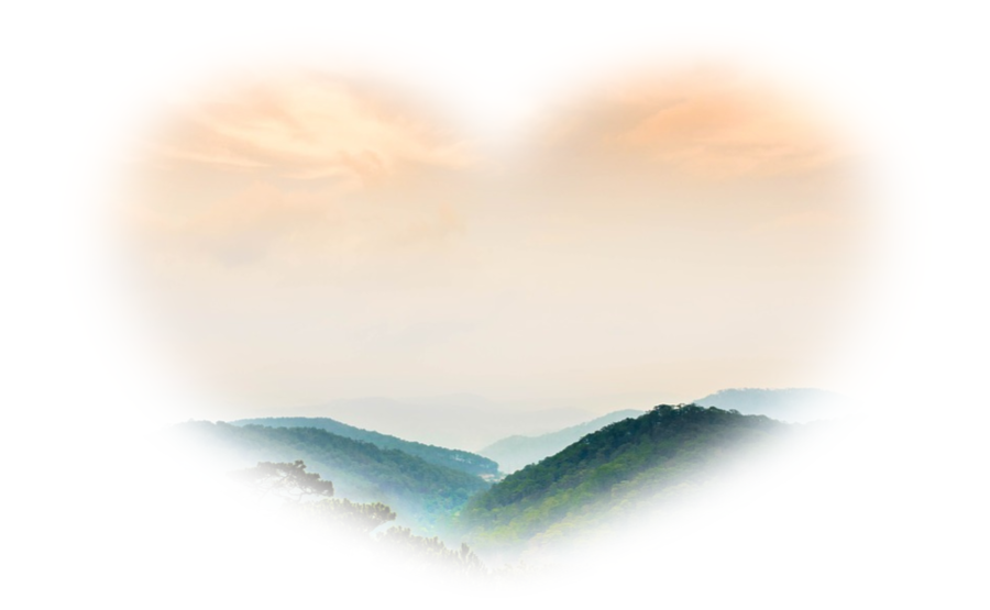 세무법인신원 이미지
