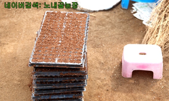 홍천노내골농장 이미지