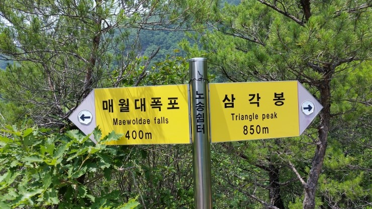 노송쉼터 이미지