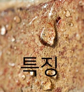 기환경 이미지