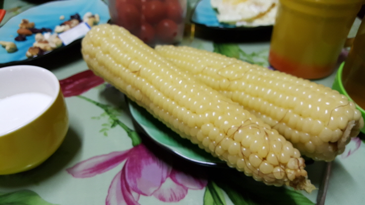 하루민박 이미지