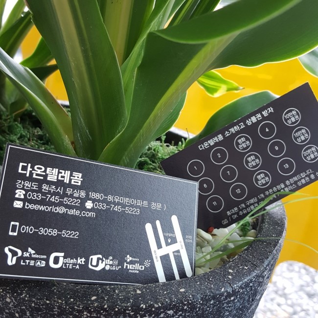 다온텔레콤 이미지