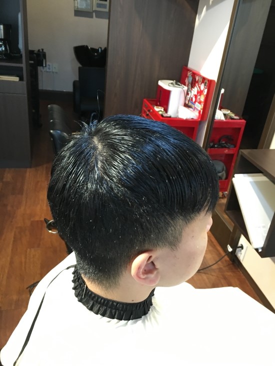 브라운시저스 이미지
