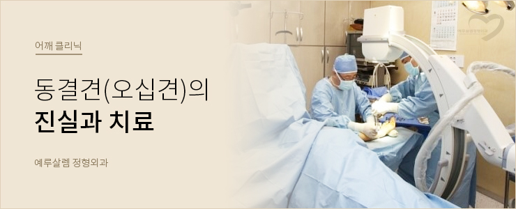 예루살렘정형외과 이미지