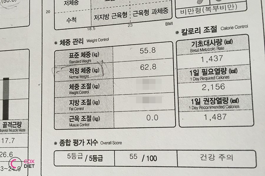 콕스다이어트캠프 이미지