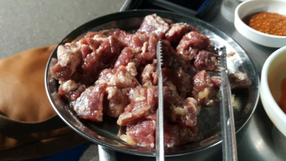 갈매기먹짱 이미지