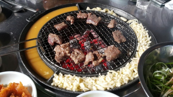 갈매기먹짱 이미지